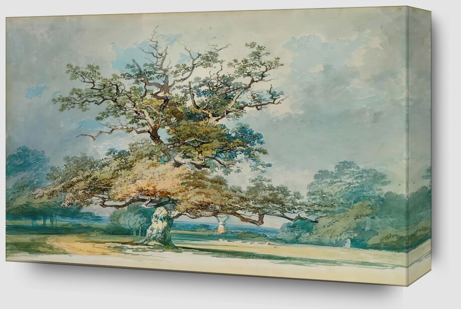 A Landscape with an Old Oak Tree - TURNER from Fine Art Zoom Alu Dibond Image