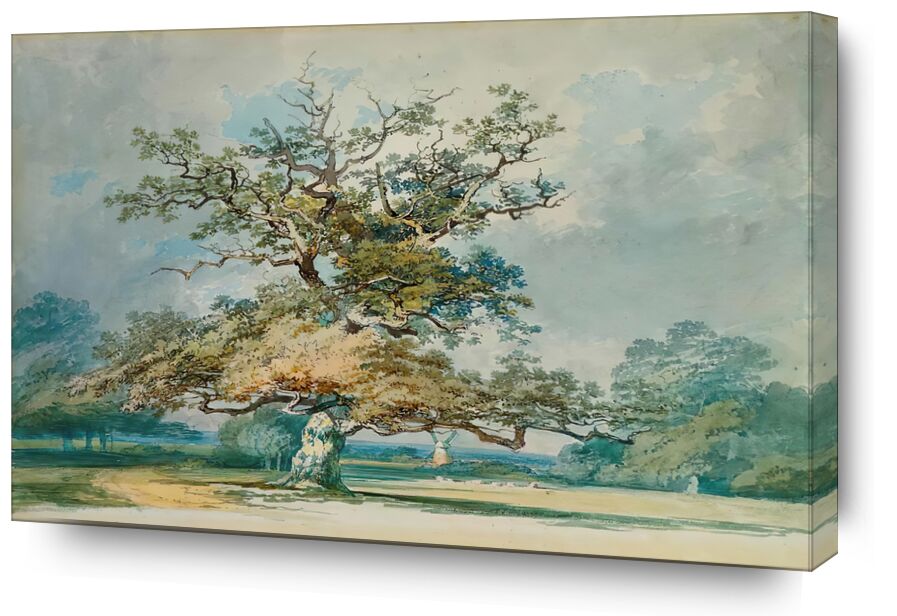 A Landscape with an Old Oak Tree - TURNER von Bildende Kunst, Prodi Art, TURNER, Baum, Blätter, Landschaft, Himmel, Eiche