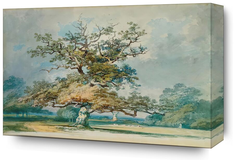 A Landscape with an Old Oak Tree - TURNER from Fine Art, Prodi Art, TURNER, tree, leaves, landscape, sky, Oak