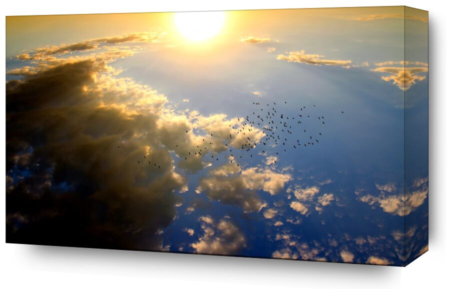 Flying over the Sun from Pierre Gaultier, Prodi Art, sunset, birds, cloud, Sun, sky, red