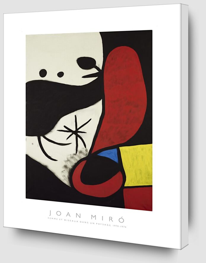 Women and Birds in a Landscape - Joan Miró from AUX BEAUX-ARTS Zoom Alu Dibond Image