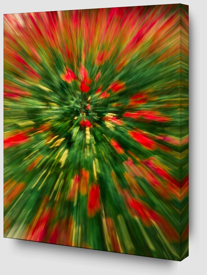 Le massif de fleurs rouges de Céline Pivoine Eyes Zoom Alu Dibond Image