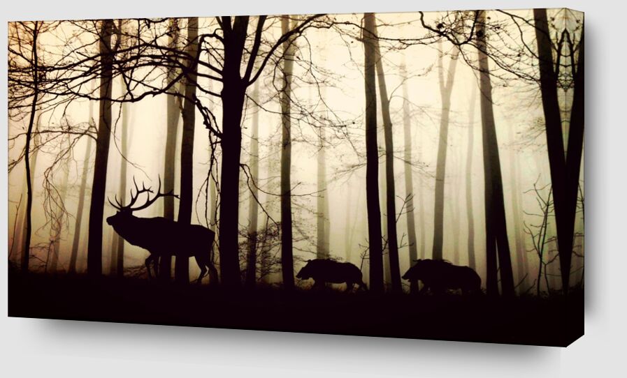 Silhouette de la forêt de Pierre Gaultier Zoom Alu Dibond Image