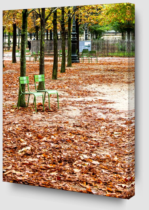 Jardin des Tuileries, Paris de Octav Dragan Zoom Alu Dibond Image