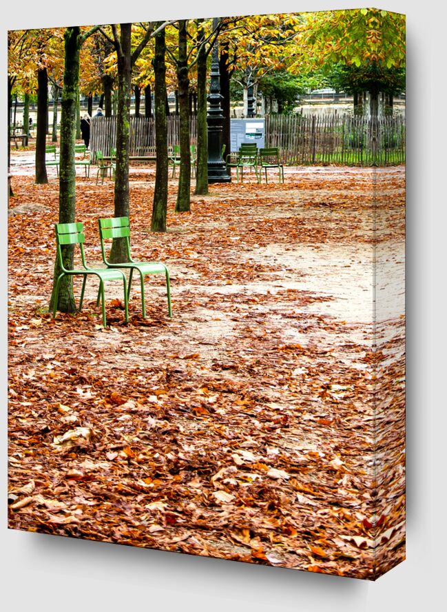 Jardin des Tuileries, Paris from Octav Dragan Zoom Alu Dibond Image