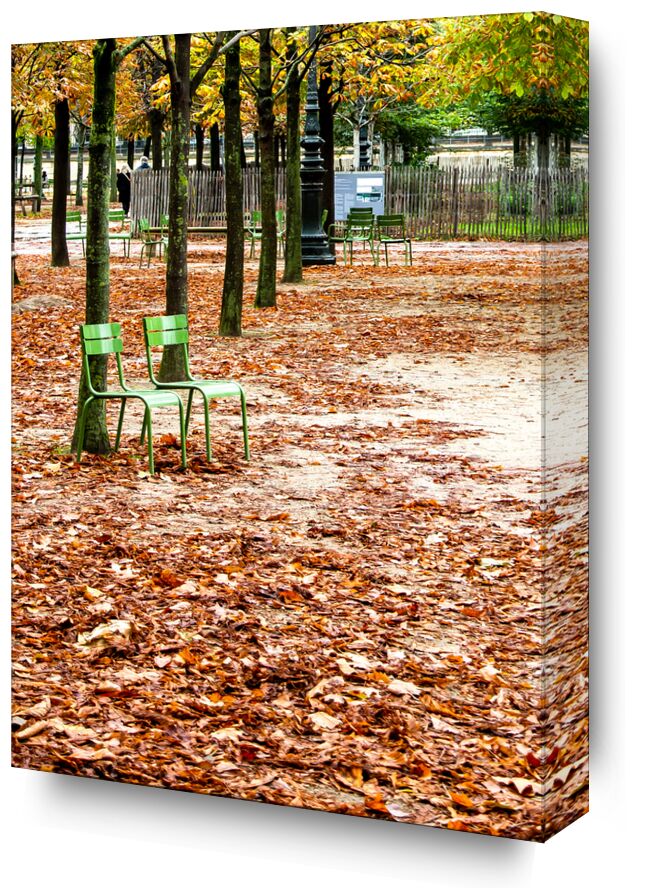 Jardin des Tuileries, Paris from Octav Dragan, Prodi Art, autumn, leaves, Paris, autumn, leaves, chairs, chairs