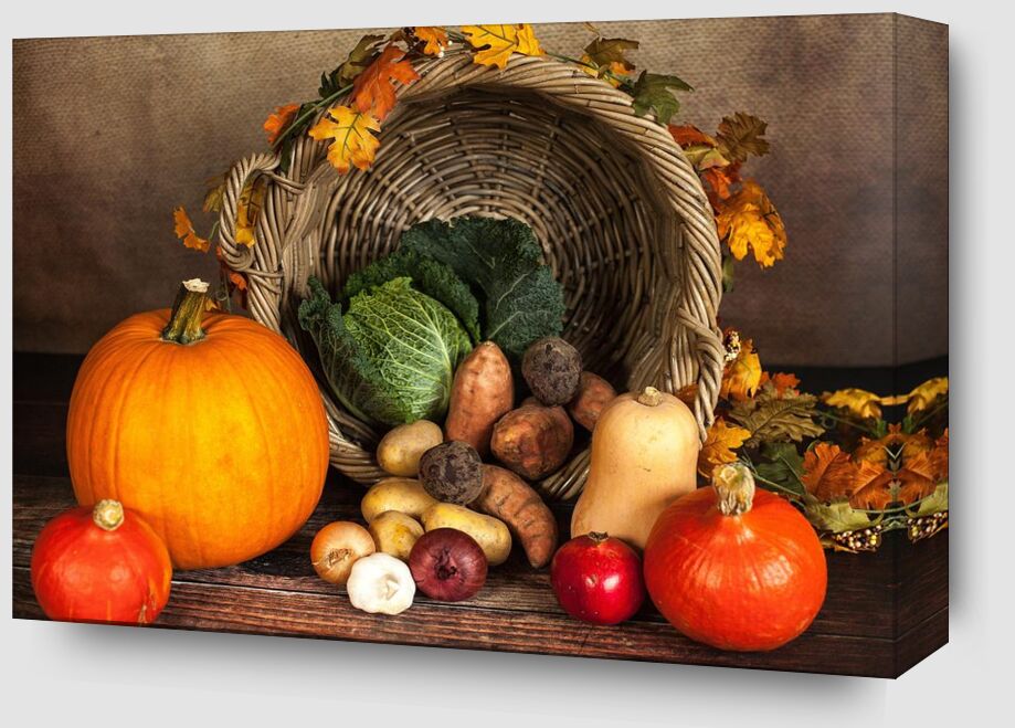 Basket of vegetables from Pierre Gaultier Zoom Alu Dibond Image