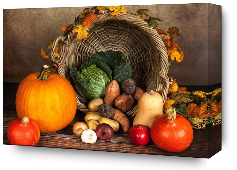 Basket of vegetables from Pierre Gaultier, Prodi Art, vegetables, still life, organic, nutrition, market, leaves, ingredients, healthy, grow, fruits, fresh, food, eat, color, close-up, basket, agriculture