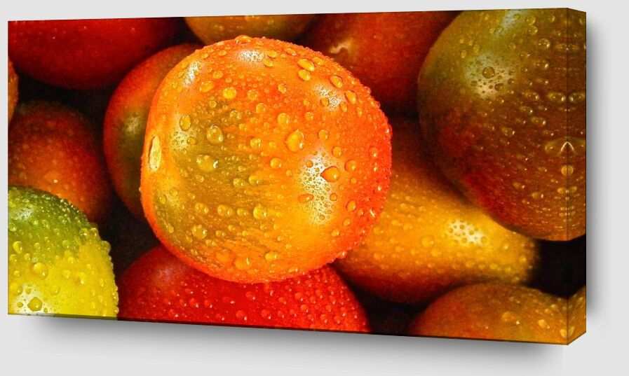 Tomates mouillées de Pierre Gaultier Zoom Alu Dibond Image