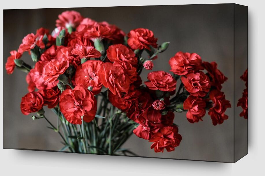Bouquet of roses from Pierre Gaultier Zoom Alu Dibond Image