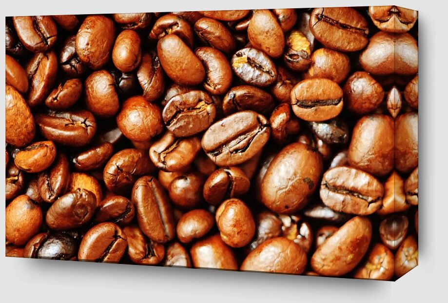 Our coffee beans from Pierre Gaultier Zoom Alu Dibond Image