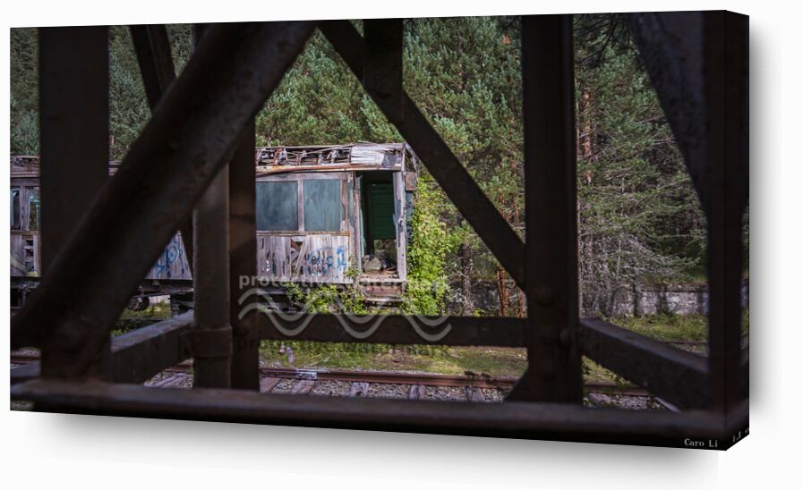 The Train de Caro Li, Prodi Art, Urbex, train