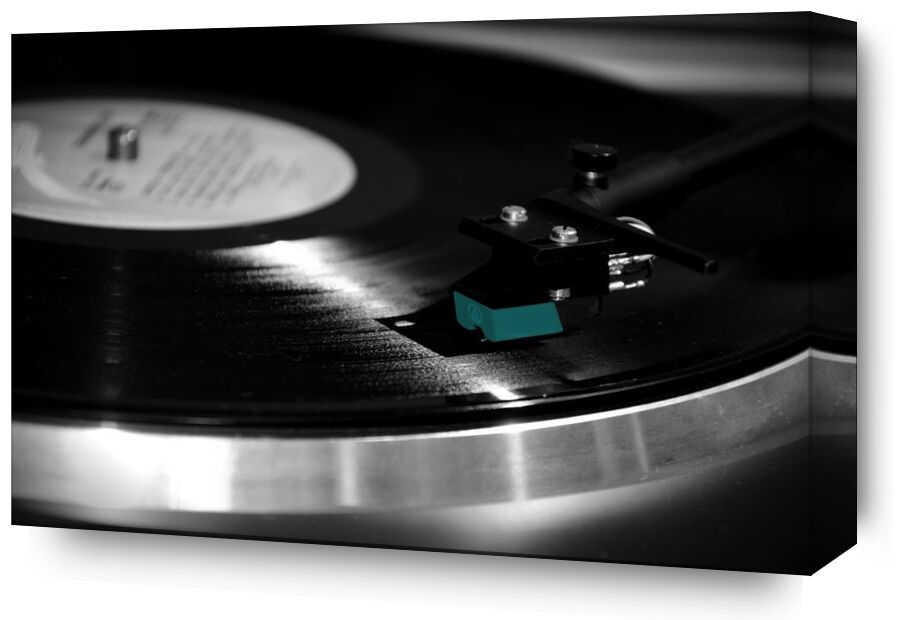 Vinyl head from Aliss ART, Prodi Art, vinyl, technology, record, phonograph record, inside, close-up, black