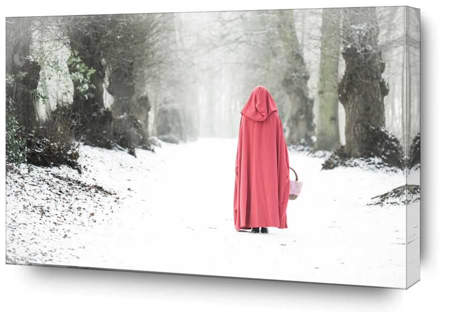 Promenade dans le bois de Eric-Anne Jordan-Wauthier, Prodi Art, portrait, Chaperon Rouge, E Photographie, Touche haute