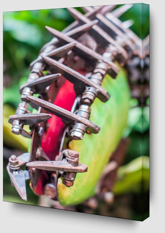 Plante carnivore Art - serre tropicale de Marie Guibouin Zoom Alu Dibond Image