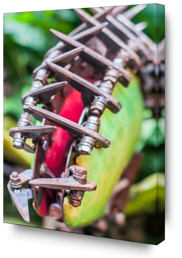 Plante carnivore Art - serre tropicale de Marie Guibouin, Prodi Art, plante carnivore, marie guibouin, art, plante, sculpture, métal, nantes, machines de l'ile, serre tropicale