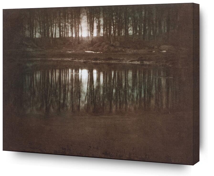 The Pond—Moonlight -Edward Steichen 1904 from AUX BEAUX-ARTS, Prodi Art, pond, light, Sun, sunset, edward steichen, black-and-white, against day