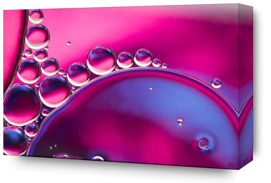 Oily bubbles #6 from Mickaël Weber, Prodi Art, purple, pink, abstract, macro, color, huile, oil, oily, fun, formes, shapes, water, modern, Bulles, bubbles, drops, goutelettes, droplets