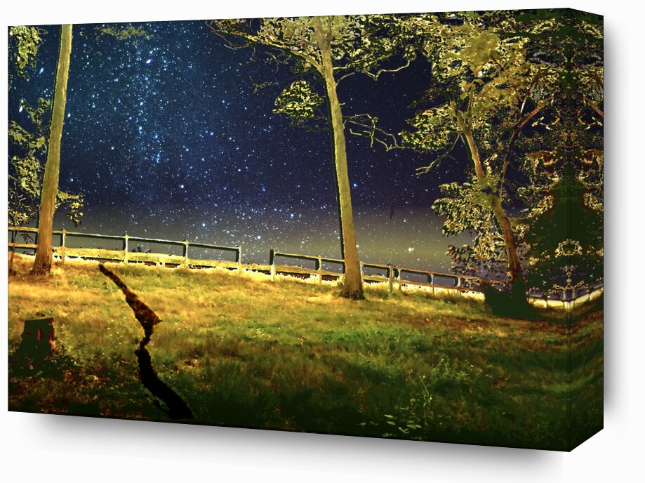 The gate from Adam da Silva, Prodi Art, night, stars, trees, meadow, blue