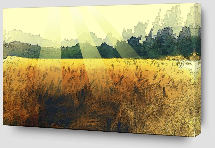 Le blé et son soleil de Adam da Silva Zoom Alu Dibond Image