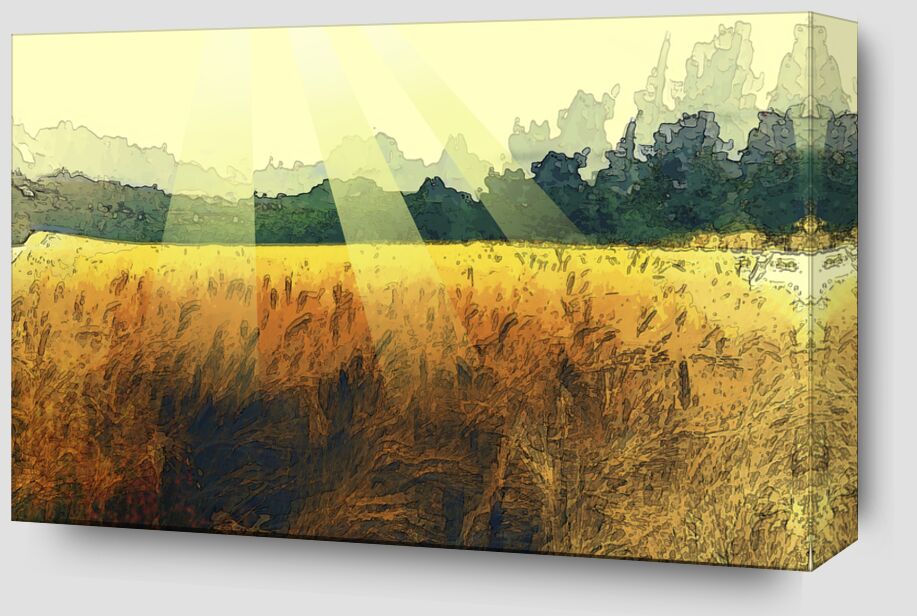 The wheat and its sun from Adam da Silva Zoom Alu Dibond Image