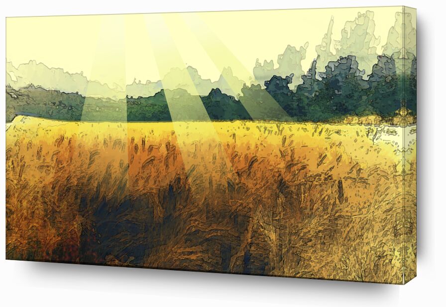 Le blé et son soleil de Adam da Silva, Prodi Art, blé, soleil, peinture, arbres, récolte