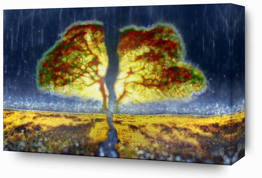 From seed to trunk from Adam da Silva, Prodi Art, trunk, tree, painting, rain, graine