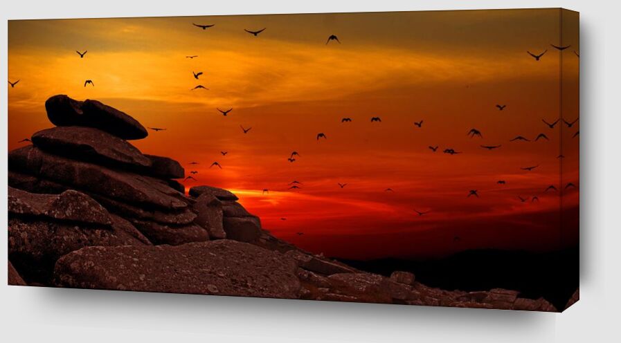 Vol au coucher de soleil de Pierre Gaultier Zoom Alu Dibond Image