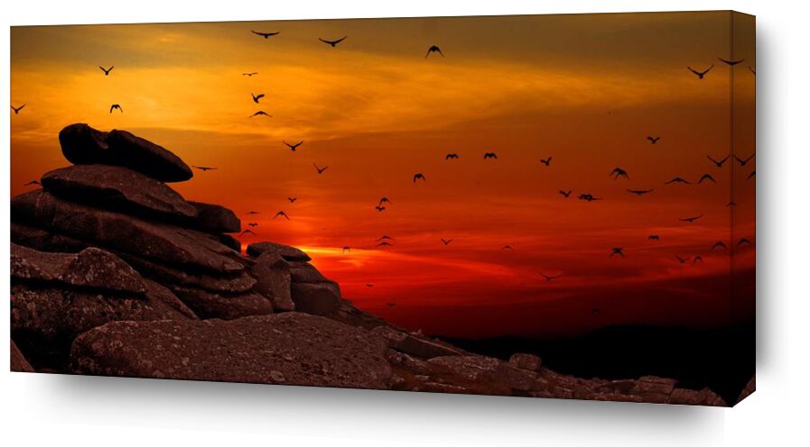 Vol au coucher de soleil de Pierre Gaultier, Prodi Art, couché de soleil, lever du soleil, silhouette, scénique, des roches, paysage, en volant, troupeau, crépuscule, Aube, des oiseaux