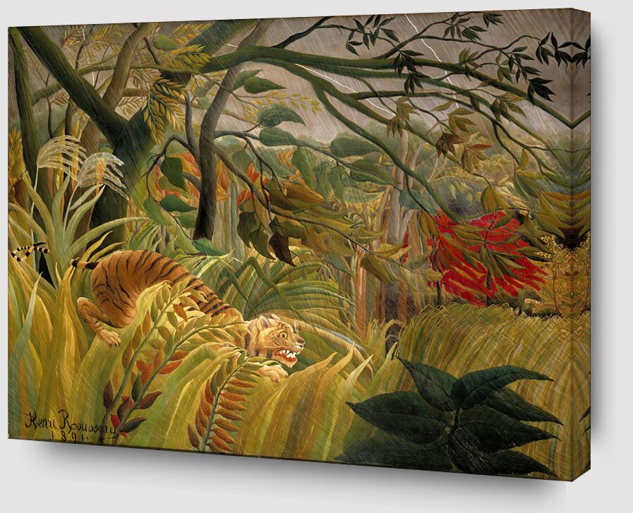 Tigre dans une tempête tropicale de Beaux-arts Zoom Alu Dibond Image