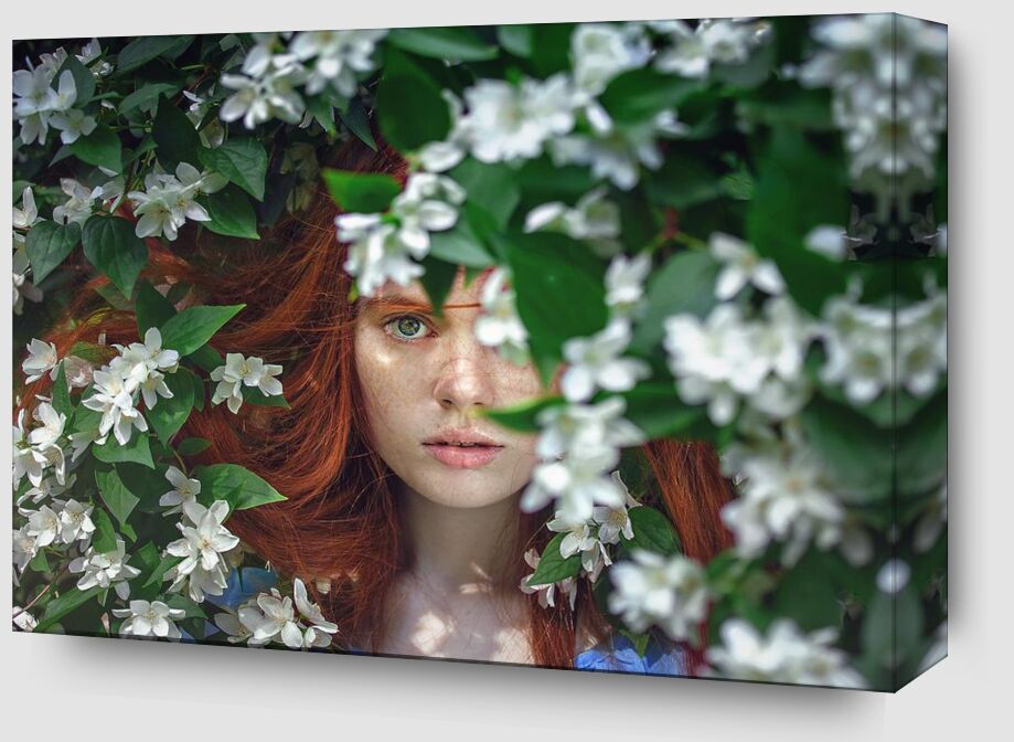 Behind the flowers from Pierre Gaultier Zoom Alu Dibond Image