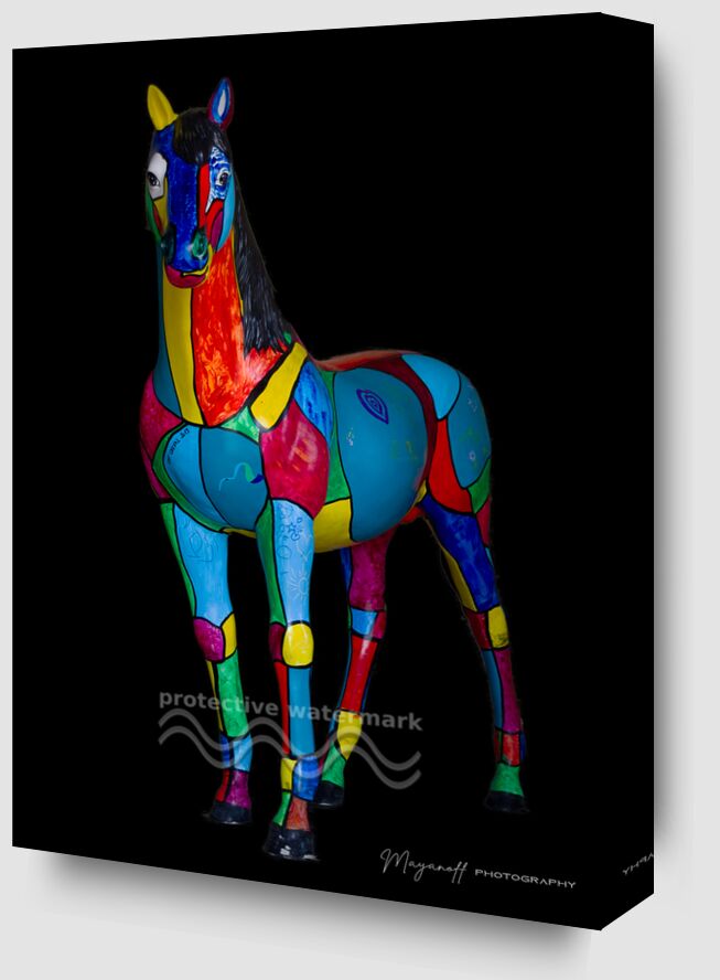 Decorative horse from Mayanoff Photography Zoom Alu Dibond Image