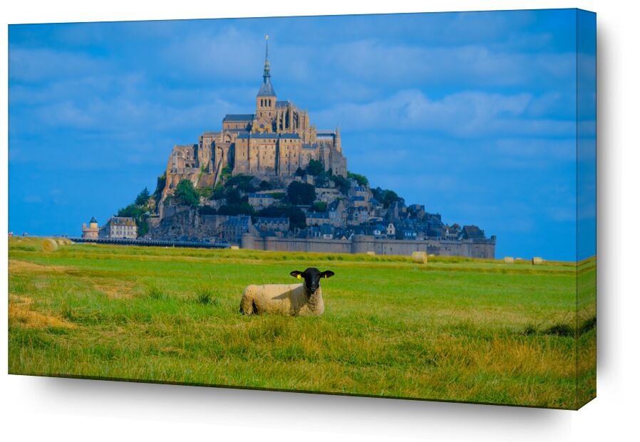 Le Mont Saint Michel de Adrien Guionie, Prodi Art, Normandie, bretagne, Le mont Saint michel, Moutons, couleurs