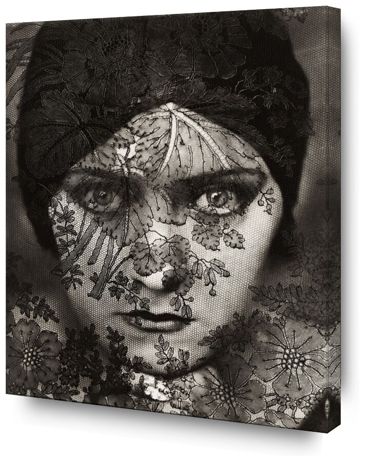 Portrait Iconique - Edward Steichen de Beaux-arts, Prodi Art, Steichen, mode, voile, femme, noir et blanc, portrait