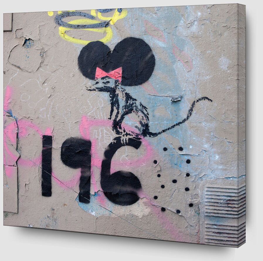 Mai 1968, Le Rat - Banksy de Beaux-arts Zoom Alu Dibond Image