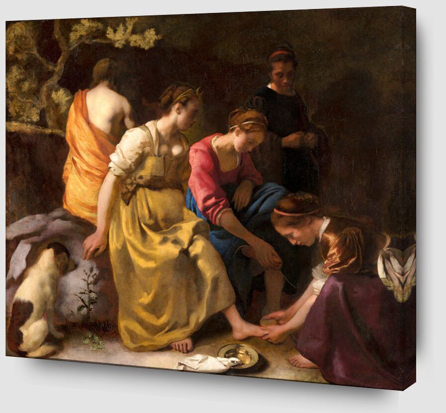 Diane et ses Compagnes - Vermeer de Beaux-arts Zoom Alu Dibond Image