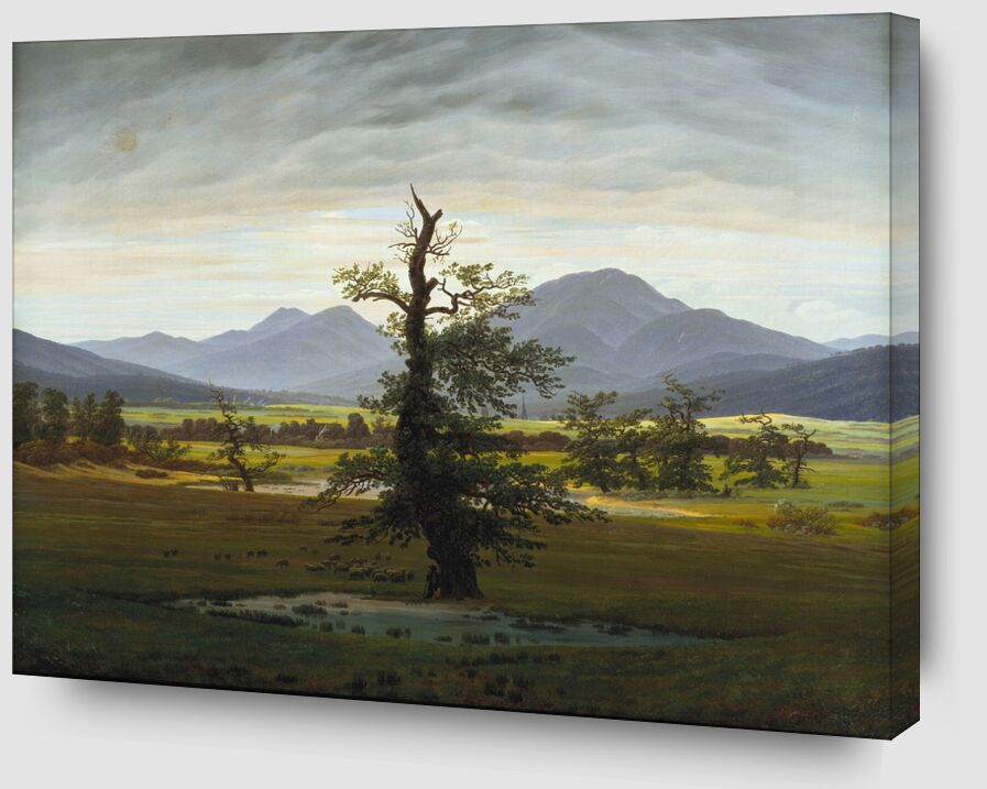 Einsamer Baum - Caspar David Friedrich von Bildende Kunst Zoom Alu Dibond Image