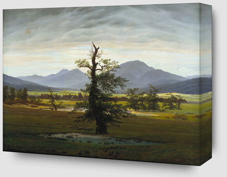Solitary Tree - Caspar David Friedrich from Fine Art Zoom Alu Dibond Image