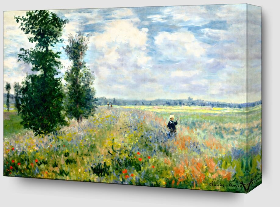 Poppy Fields near Argenteuil - Claude Monet from Fine Art Zoom Alu Dibond Image