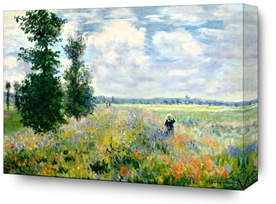 Poppy Fields near Argenteuil - Claude Monet from Fine Art, Prodi Art, clouds, nature, poppies, landscape, fields, CLAUDE MONET, monet