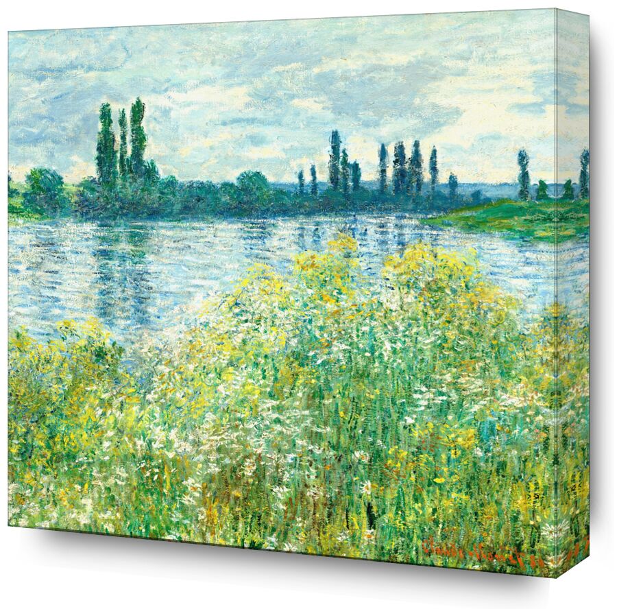 Rives de la Seine, Vetheuil - Square - Claude Monet from Fine Art, Prodi Art, the Seine, monet, CLAUDE MONET, landscape, nature, River, flowers, pond, lake