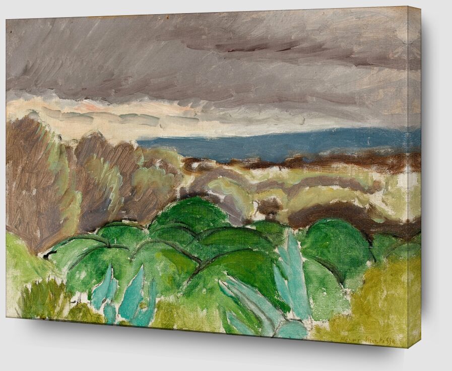 Cagnes, Paysage au Temps Orageux, 1917 - Matisse de Beaux-arts Zoom Alu Dibond Image