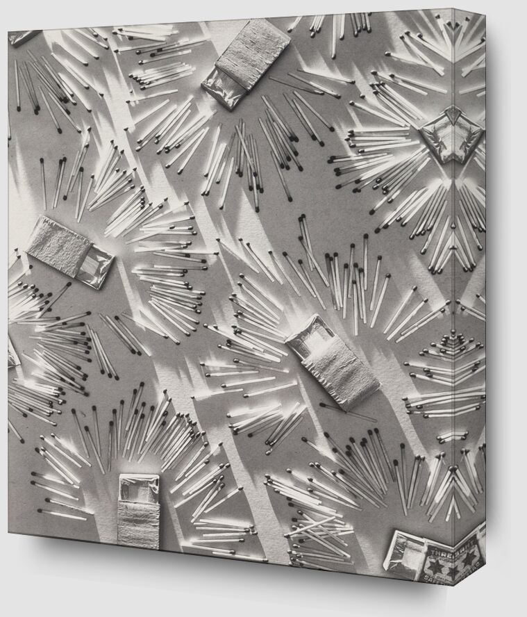Juxtaposition - Edward Steichen from Fine Art Zoom Alu Dibond Image