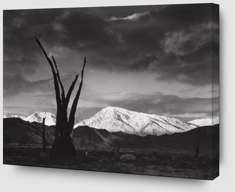 Sunrise, Mount Tom, Sierra Nevada, 1948 desde Bellas artes Zoom Alu Dibond Image