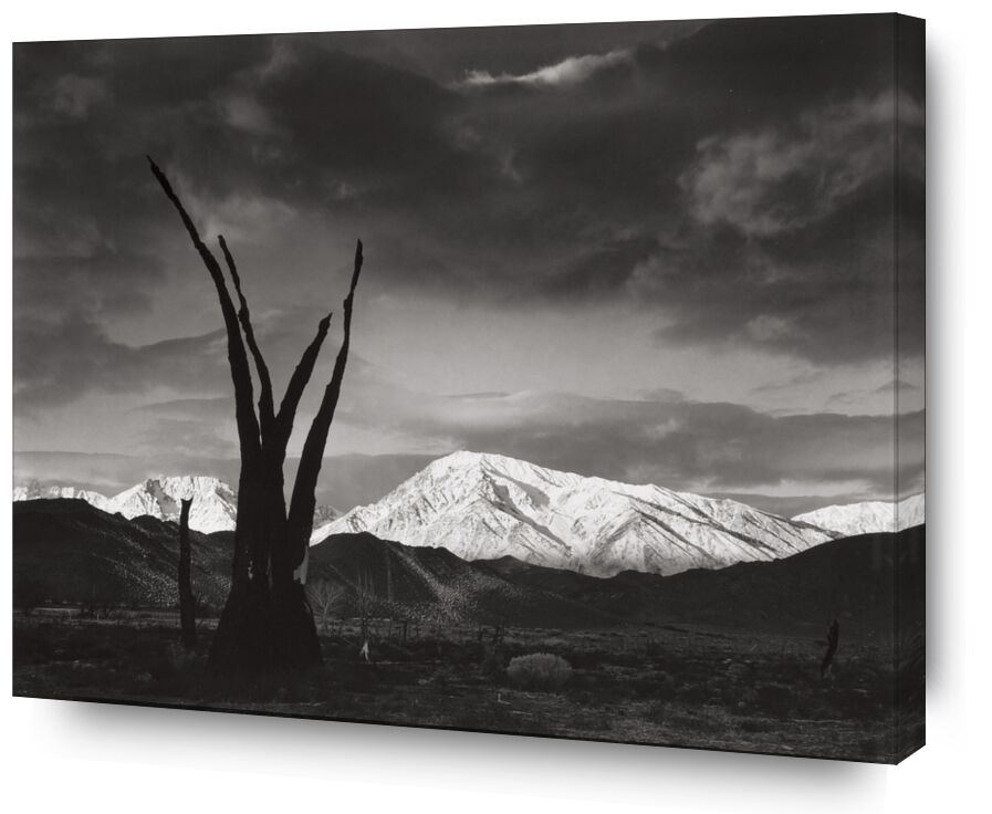 Lever de Soleil, Mont Tom, Sierra Nevada, 1948 - Ansel Adams de Beaux-arts, Prodi Art, ANSEL ADAMS, Adams, Sierra Nevada, Montagne, noir et blanc