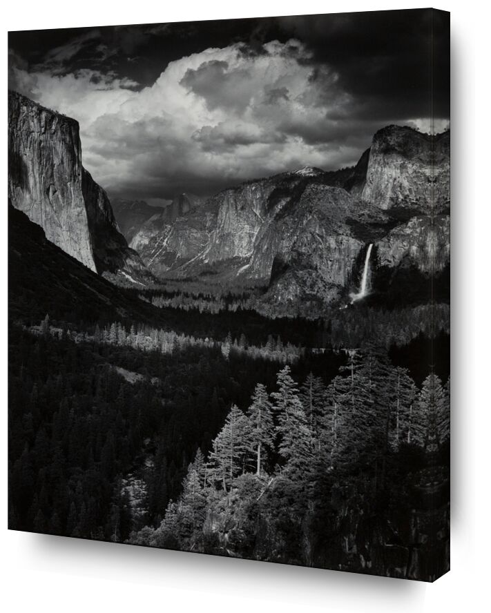 Thunderstorm, Yosemite Valley, California, 1945 desde Bellas artes, Prodi Art, ANSEL ADAMS, adams, tormenta, montañas, Valle, nubes, madera, abetos