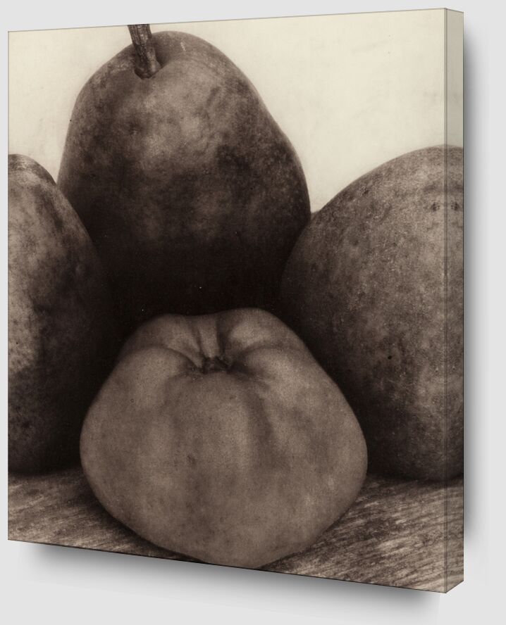Les Premières Années, 1900-1927 - Edward Steichen de Beaux-arts Zoom Alu Dibond Image