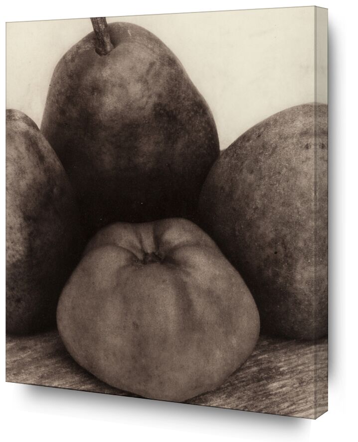 Les Premières Années, 1900-1927 - Edward Steichen de Beaux-arts, Prodi Art, noir et blanc, Steichen, Edward Steichen, macro, nature morte, pommes, poires