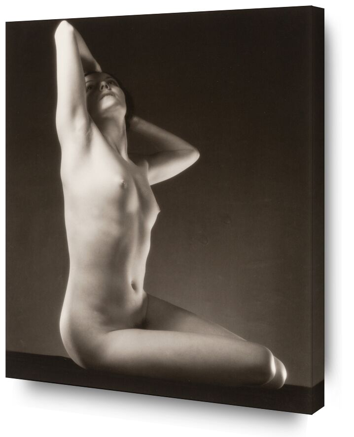 Miss Sousa, 1933 - Edward Steichen de Beaux-arts, Prodi Art, Edward Steichen, Steichen, femme, nu, femme nue, portrait, noir et blanc