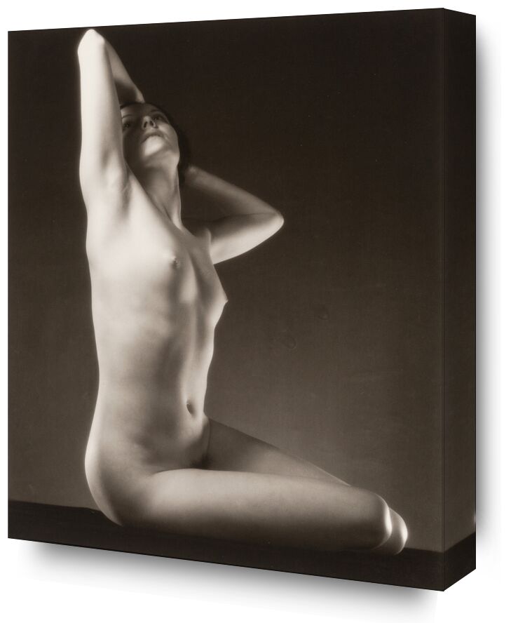 Miss Sousa, 1933 - Edward Steichen from Fine Art, Prodi Art, edward steichen, Steichen, woman, nude, naked woman, portrait, black-and-white